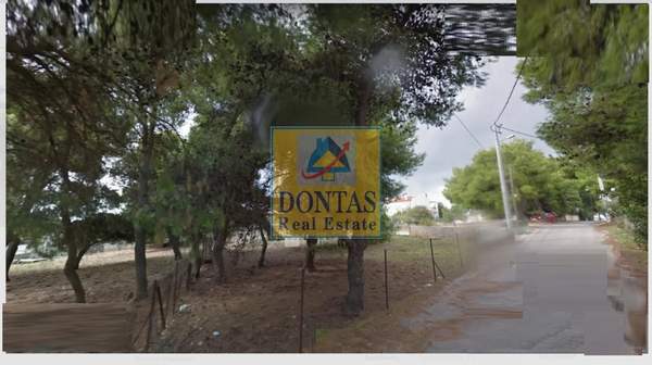 תמונת דיוניסוס למכירה (1)