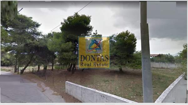 תמונת דיוניסוס למכירה (0)