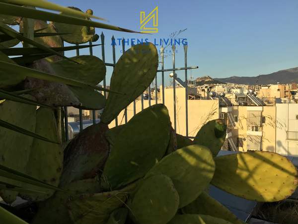 תמונת ווטאניקוס, אתונה למכירה (1)