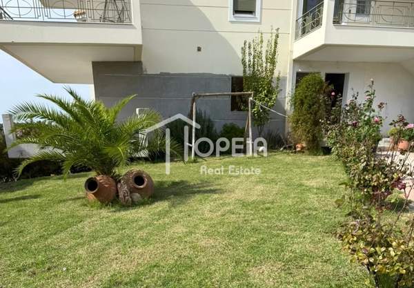 תמונת סרוניקוס למכירה