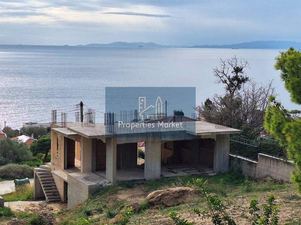 תמונת קורופי למכירה (0)