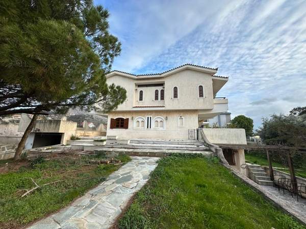 תמונת סרוניקוס למכירה (0)