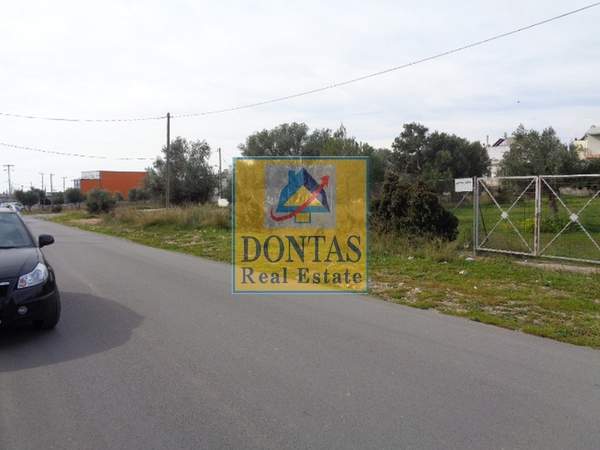 תמונת אכרניס, אתונה למכירה (1)