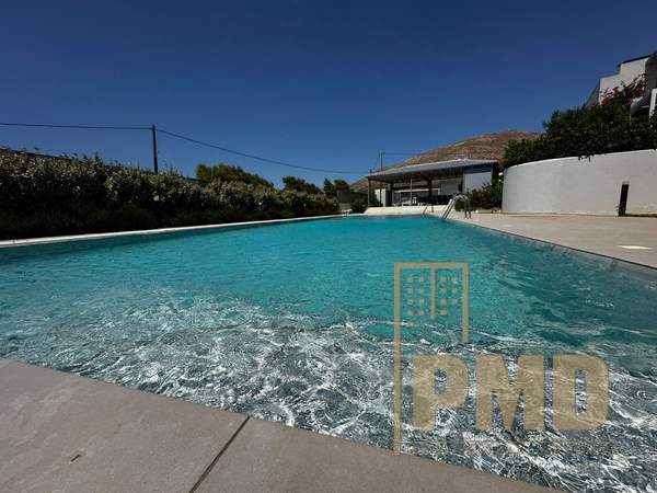 תמונת סרוניקוס למכירה (0)