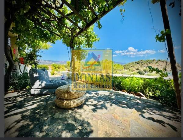 תמונת חיוס למכירה (1)