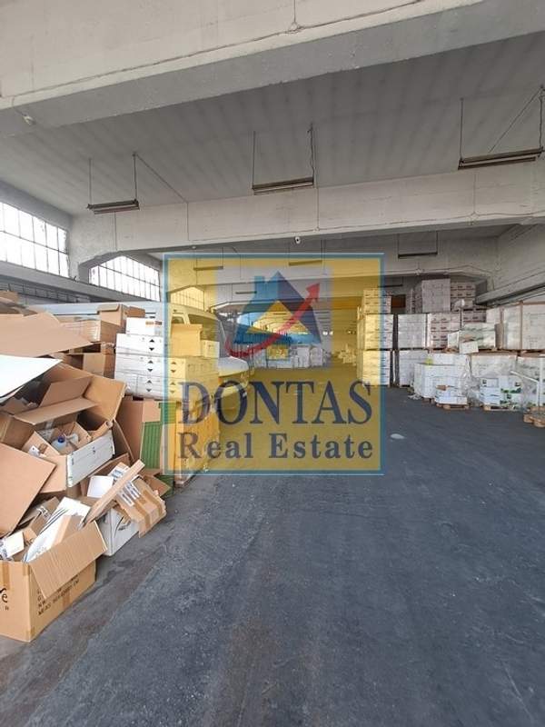 תמונת אכרניס למכירה (0)