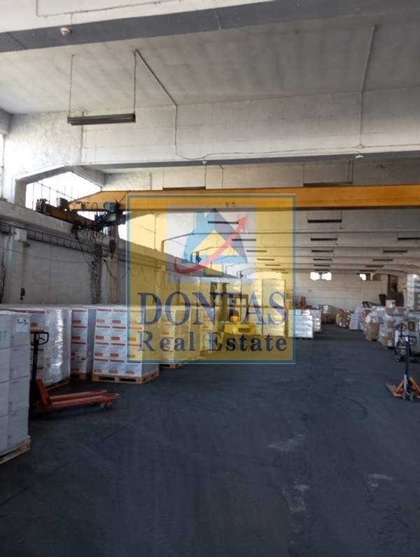 תמונת אכרניס למכירה (1)