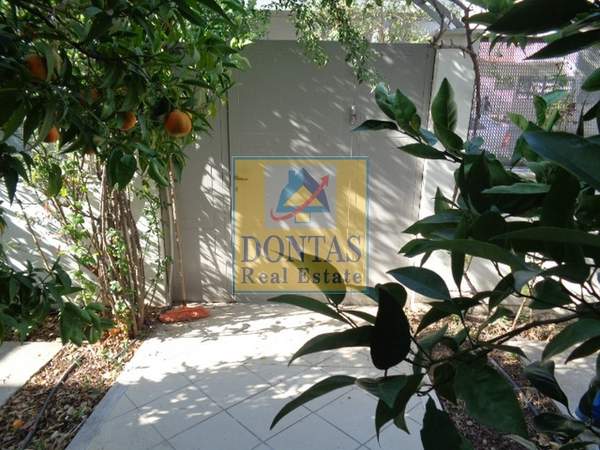 תמונת אכרניס למכירה (0)