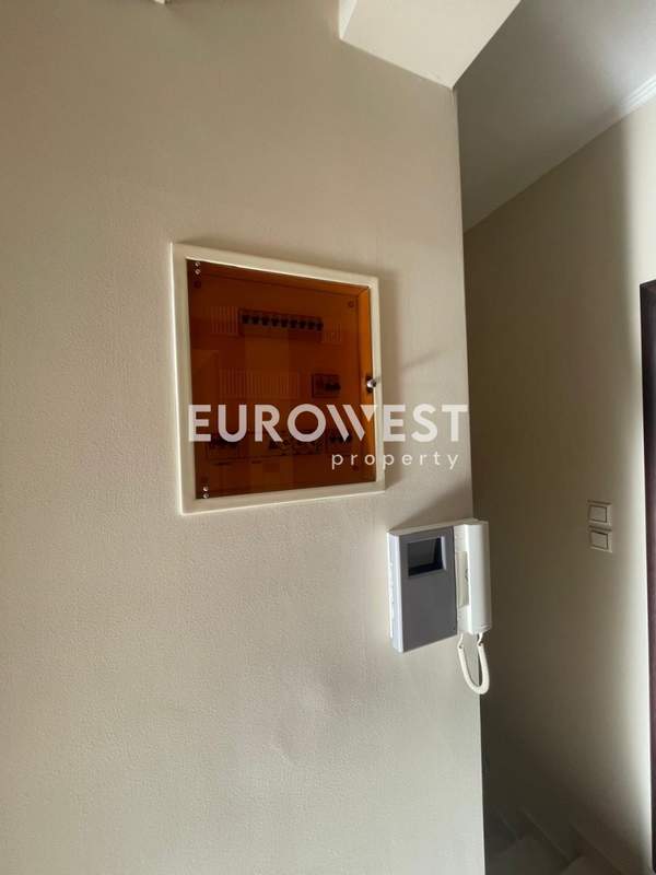 תמונת מתמרפוסי סוטירוס, פטרס למכירה (1)