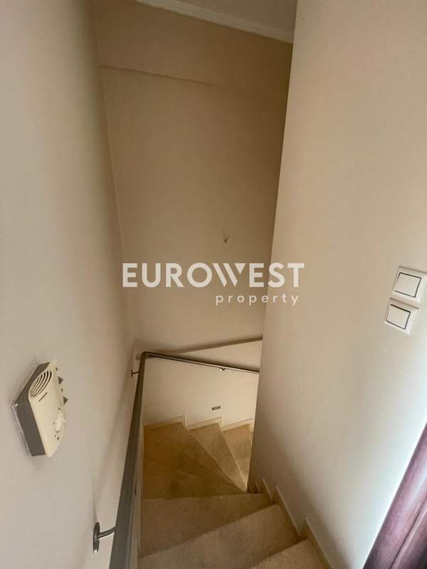 תמונת מתמרפוסי סוטירוס, פטרס למכירה (0)