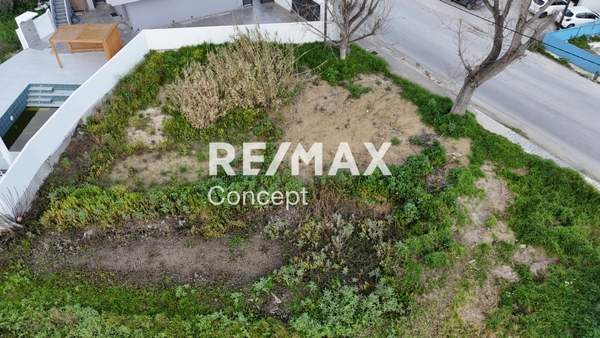 תמונת זקינתוס למכירה (1)