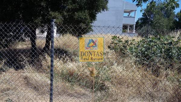 תמונת נאה אריטאריה, קיפיסיה, אתונה למכירה