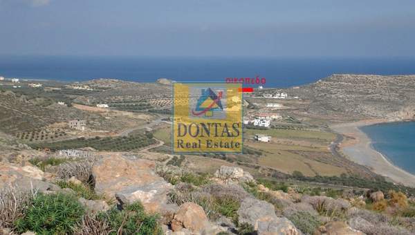 תמונת סיטיה למכירה