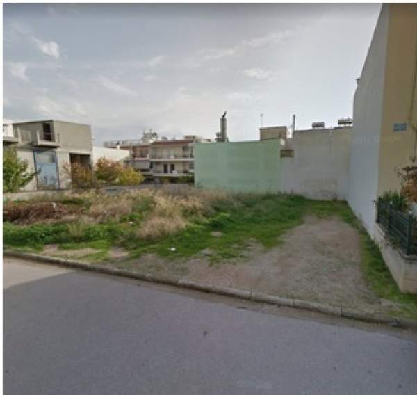 תמונת אכרניס למכירה (0)