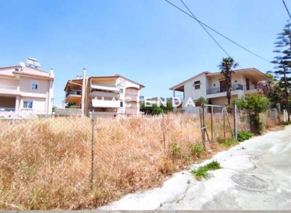 תמונת רשות מקומית פטרס למכירה (0)