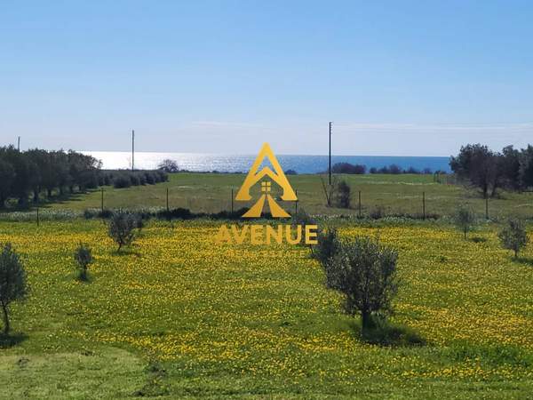 תמונת תרמיקוס, סלוניקי למכירה