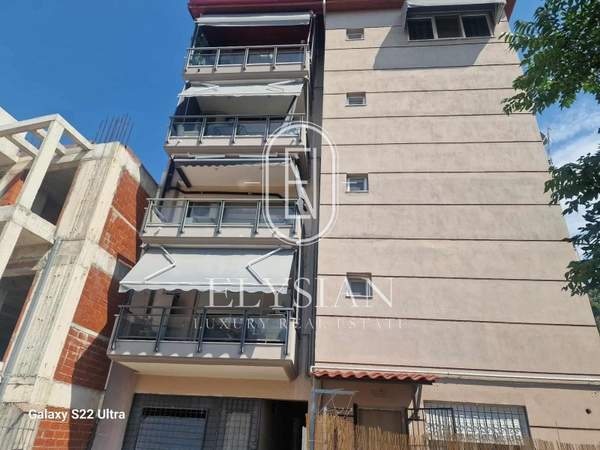 תמונת קורדליו - אבוסמוס למכירה (1)