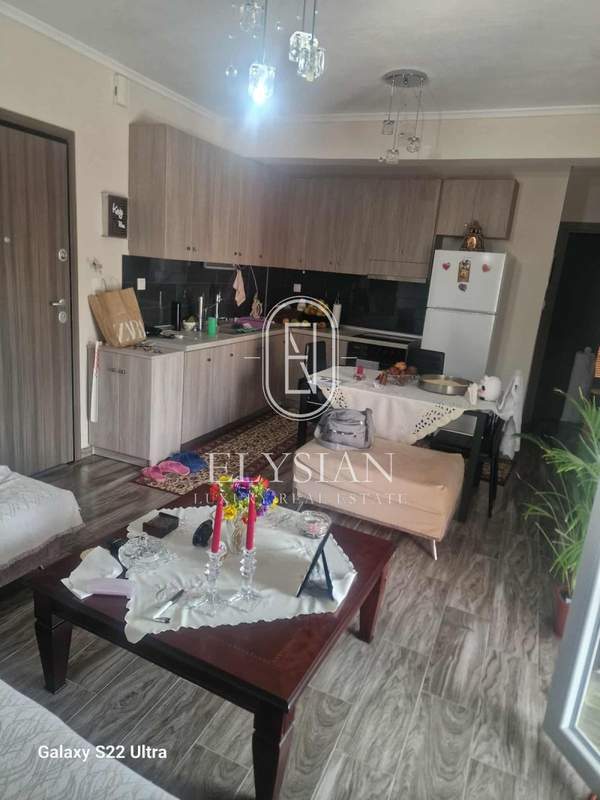 תמונת קורדליו - אבוסמוס למכירה (0)