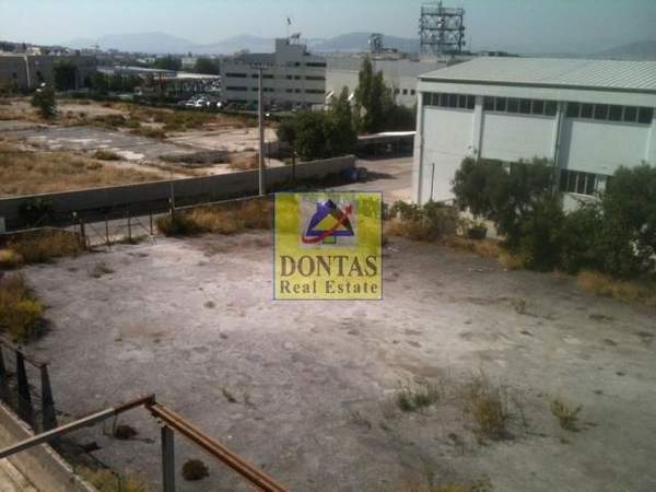 תמונת קיפיסיה, אתונה למכירה (0)