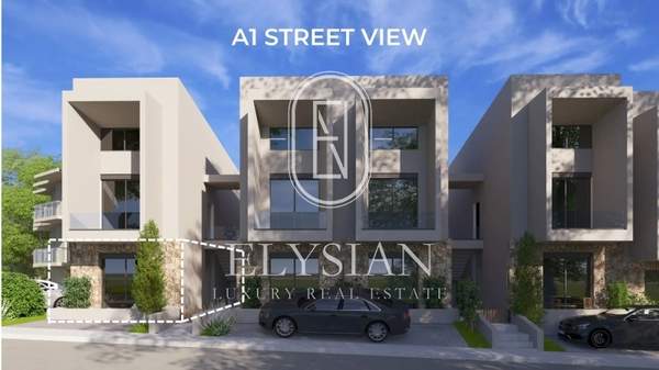 תמונת קסנדרה, כלקידיקי למכירה (0)