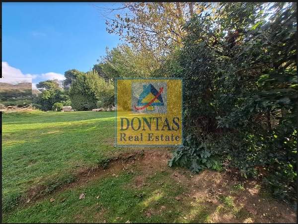 תמונת קיפיסיה, אתונה למכירה (1)