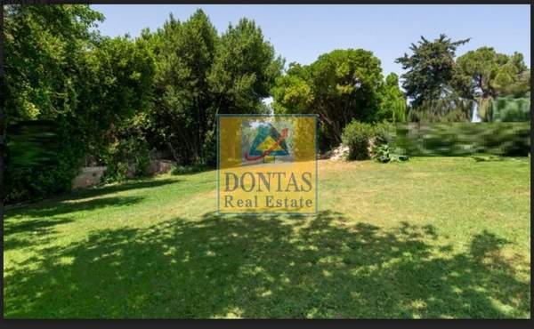 תמונת קיפיסיה, אתונה למכירה (0)