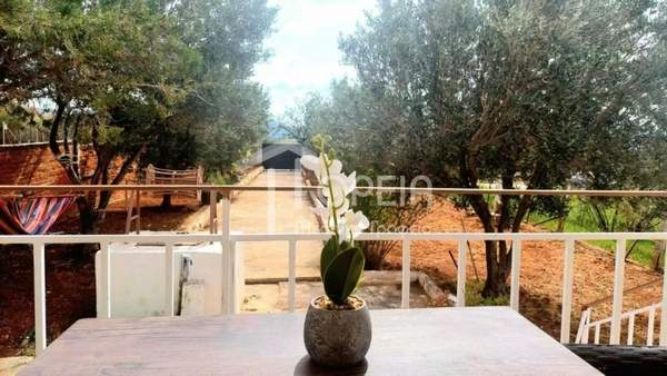 תמונת סרוניקוס, אתונה למכירה (1)