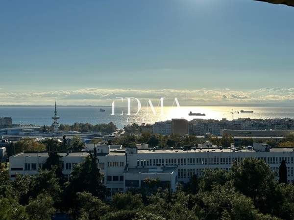 תמונת אנו פולי, סלוניקי למכירה (0)