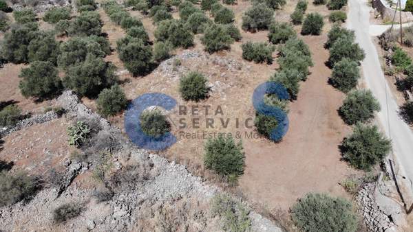תמונת אפוקורנס למכירה