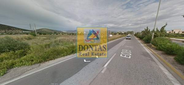 תמונת מרקו פולו למכירה (1)