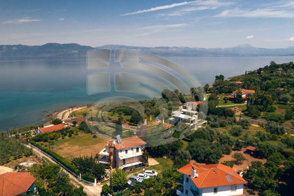 תמונת כלקיס (דרום) למכירה (0)