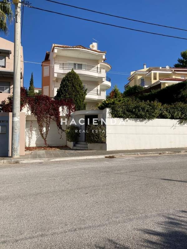 תמונת ראפינה - פיקרמי למכירה (0)