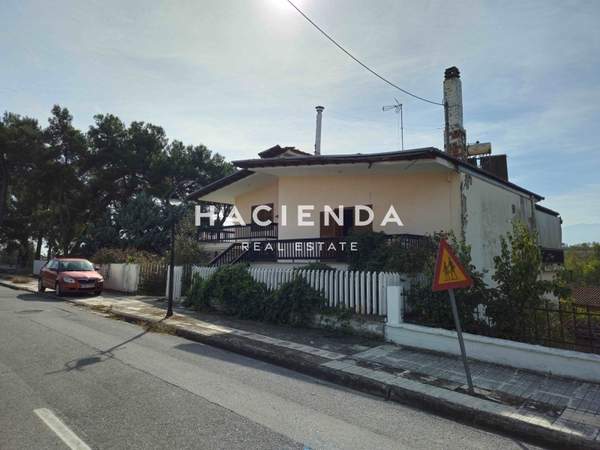 תמונת קתריני למכירה (1)