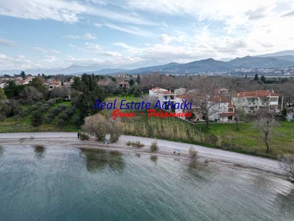 תמונת איגאליאה, פלופונס למכירה