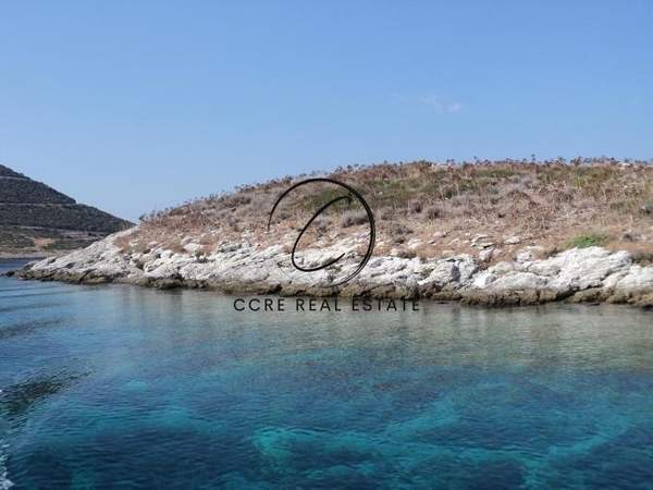 תמונת קאריסטוס למכירה (0)