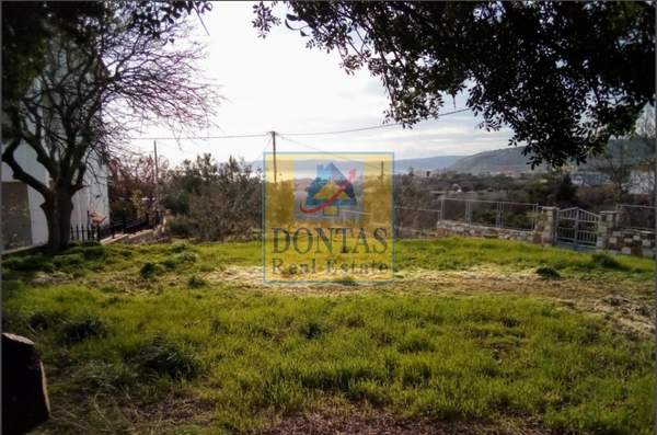 תמונת חיוס למכירה (0)