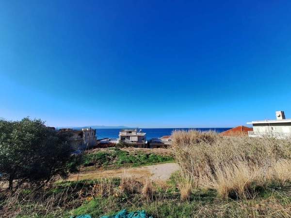 תמונת חאלפה, חאניה למכירה (0)