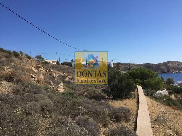 תמונת סירוס וארמופולי למכירה (1)