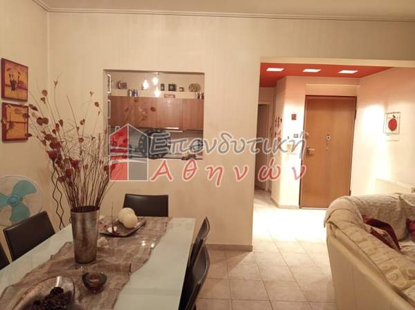 תמונת אלימוס למכירה (0)