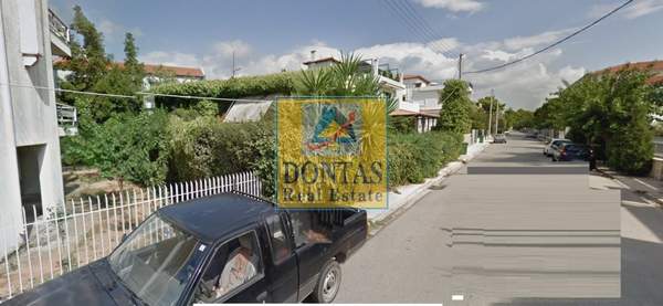 תמונת נאה קיפיסיה, קיפיסיה למכירה (0)