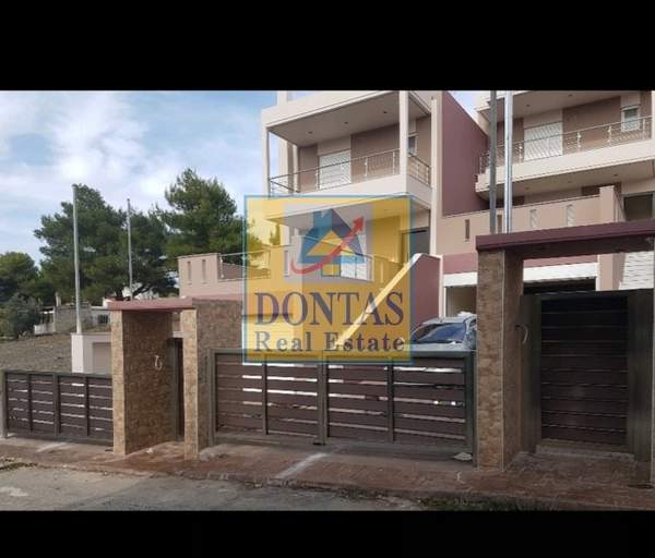 תמונת דיוניסוס למכירה (0)