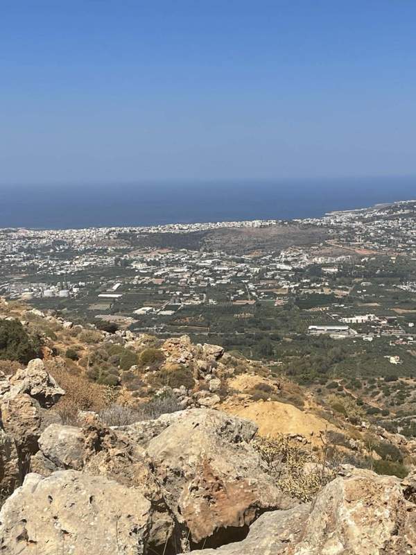 תמונת נרוקורס, חאניה למכירה (1)