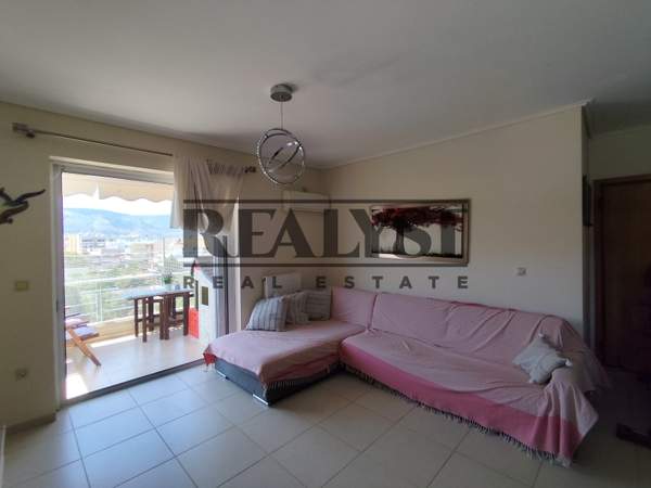 תמונת קורופי למכירה (0)