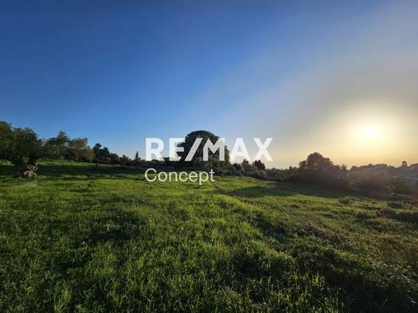 תמונת זקינתוס למכירה (1)