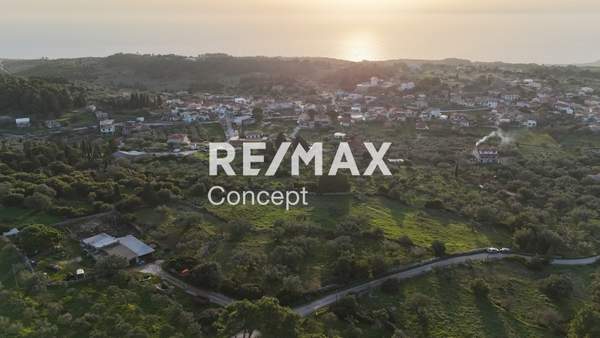 תמונת זקינתוס למכירה (0)