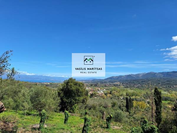 תמונת קורפו למכירה (0)