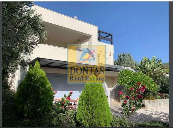 תמונת לוטראקי למכירה (0)