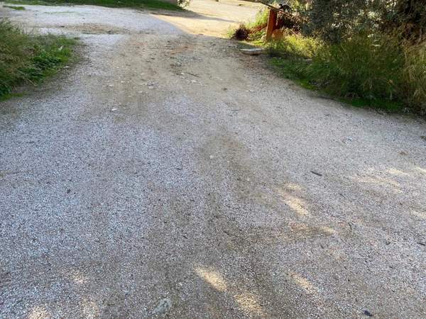 תמונת ספטה ארטמידה, אתונה למכירה (1)