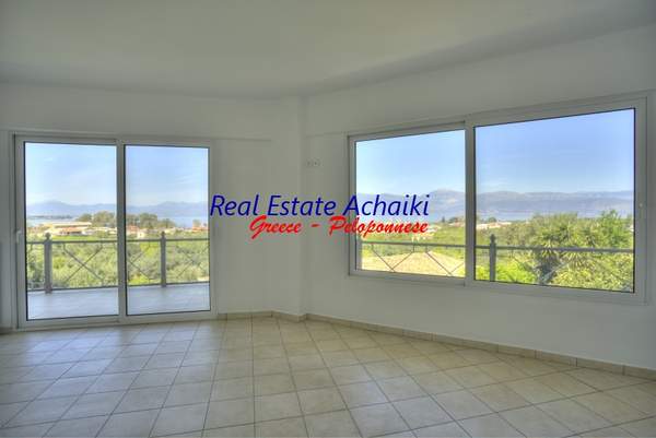 תמונת איגאליאה, פלופונס למכירה (1)