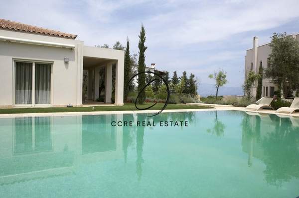 תמונת ארטריה למכירה (0)